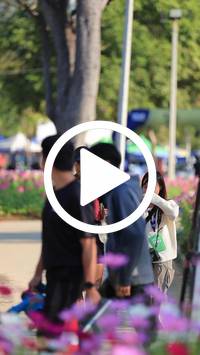 BIB:  <button type="button" onclick="openModal(27583782)" class="btn btn-primary btn-sm float-right" data-toggle="modal" data-target=".modal-high-quality">
                <i class="fa fa-download"></i> Download
                </button>